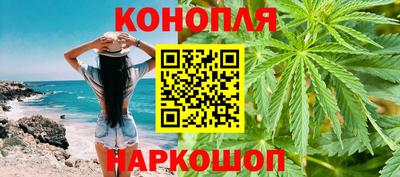 крисы Камышлов