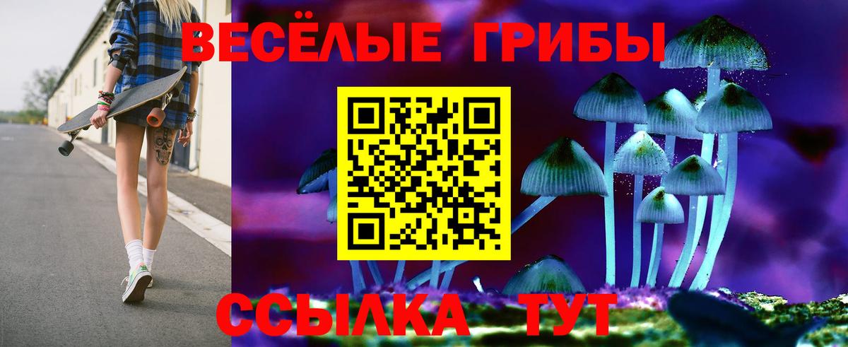 Псилоцибиновые грибы прущие грибы  Вход с VPN  Лесосибирск 